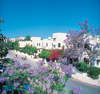 Paphos Gardens Holiday Resort 